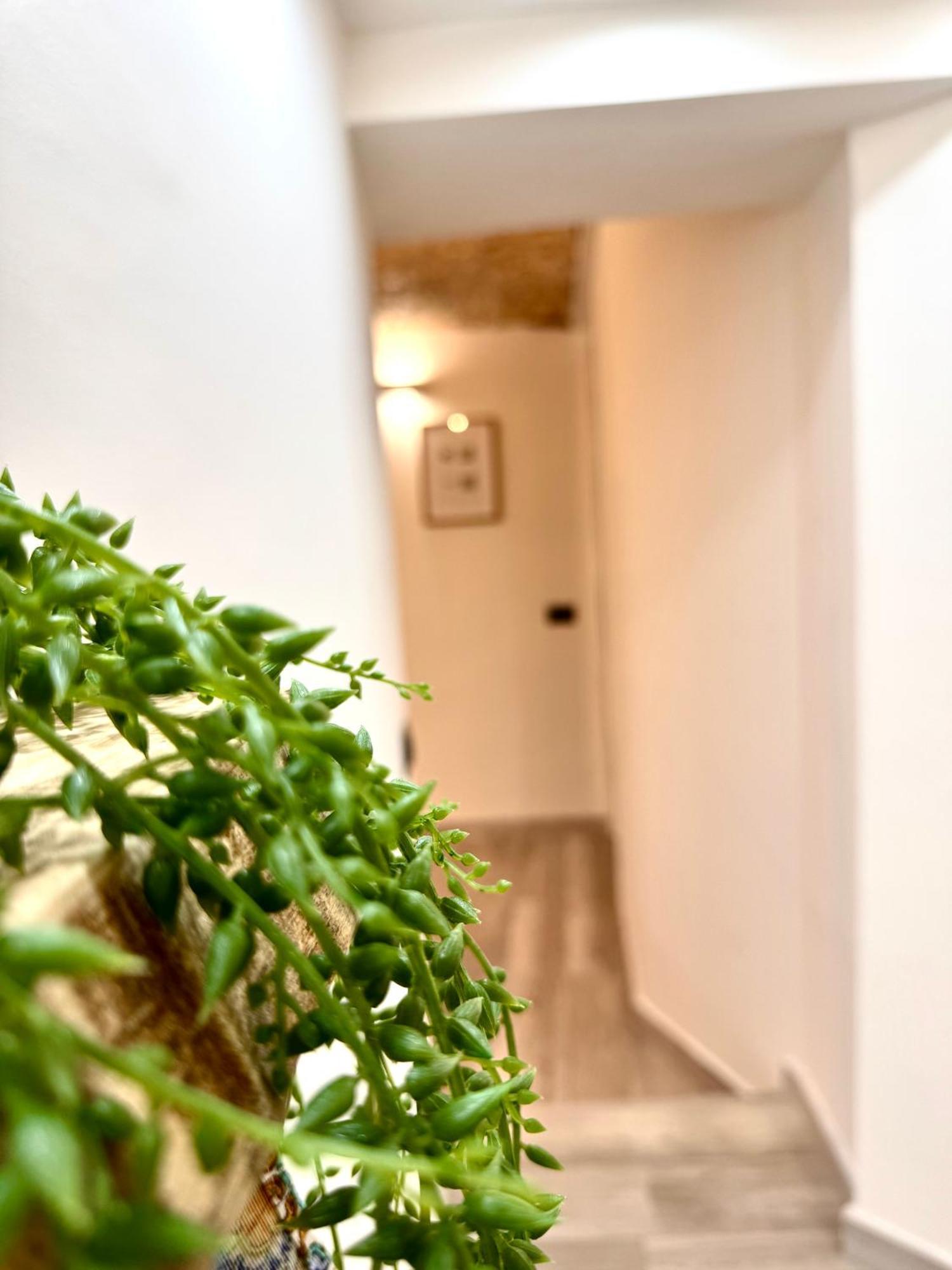 Luxury Stay Palermo Suite Con Spa Privata Vicino Stazione מראה חיצוני תמונה